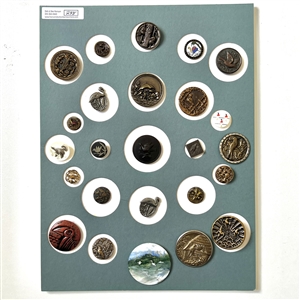 Card of twenty five buttons of birds. 