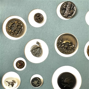 Card of twenty five buttons of birds. 