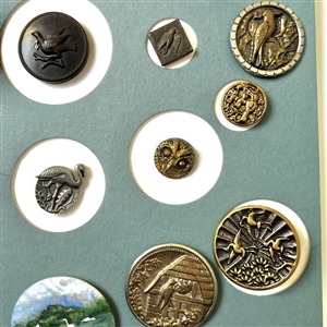 Card of twenty five buttons of birds. 