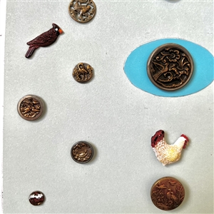Card of nineteen buttons of birds. 