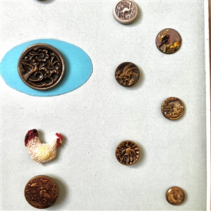 Card of nineteen buttons of birds. 