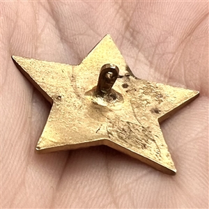 French painted enamel button of roses in star shape with champlevé border.