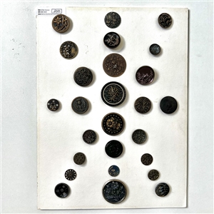 Card of twenty six buttons of plant life.
