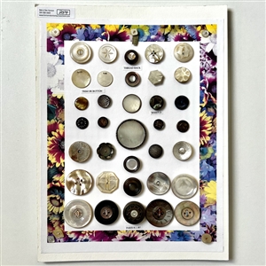 Card of thirty six shell buttons. 