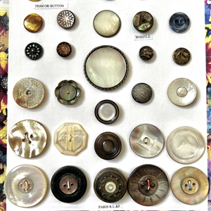 Card of thirty six shell buttons. 
