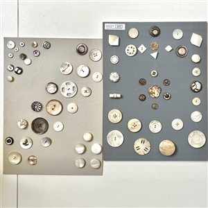 Two cards of seventy shell buttons. 