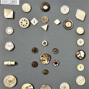 Two cards of seventy shell buttons. 