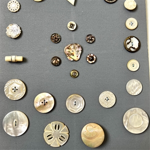 Two cards of seventy shell buttons. 