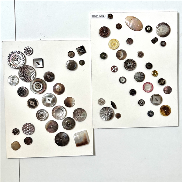 Two cards of fifty eight shell buttons. 