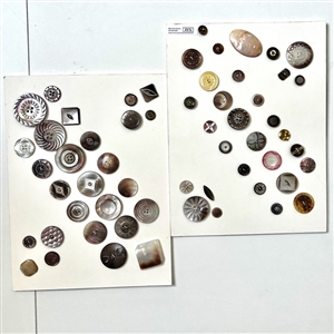 Two cards of fifty eight shell buttons. 