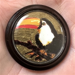 Painting of a toucan under plastic set in British plastic.