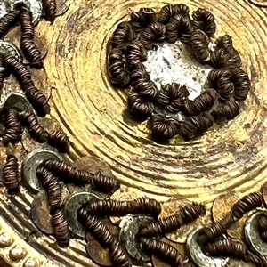 Two 18th c. French buttons.