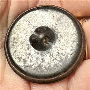Victorian celluloid elaborate feather button.