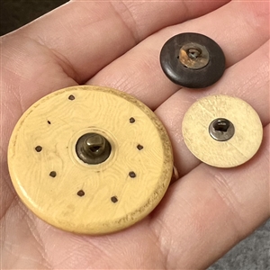 Three Victorian buttons with steels - largest is celluloid.