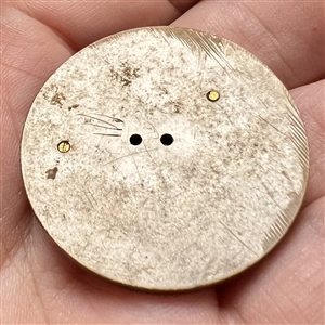 Vintage united plastic button of a crawfish.