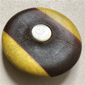 Card of nineteen Vintage celluloid buttons.
