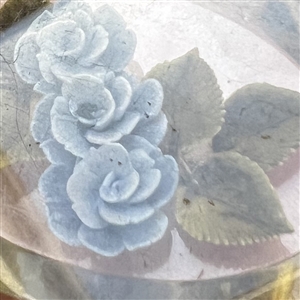 Vintage reverse carved and painted acrylic button of blue roses.