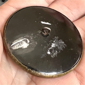 A 19th c. Button with gutta percha rose in steel collet and a detailed brass border.