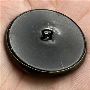 Victorian celluloid button set in metal with floral design.