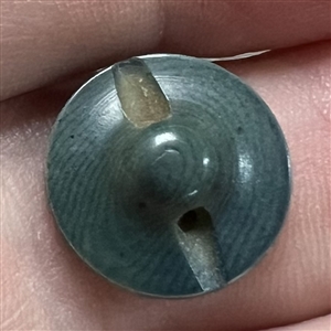 RARE Kate Greenaway vegetable ivory button. 