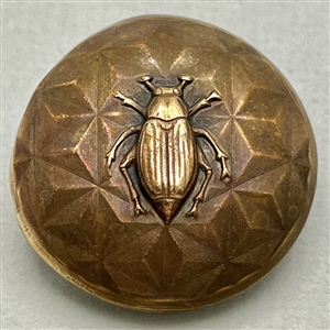 Brass dome button of a beetle.