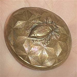 Brass dome button of a beetle.