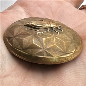 Brass dome button of a beetle.