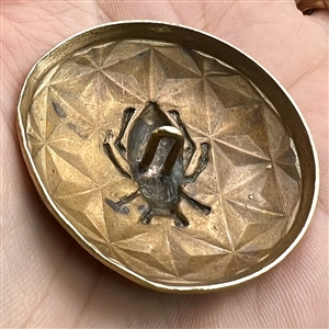 Brass dome button of a beetle.