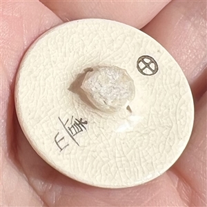 Satsuma  button of a running horse.