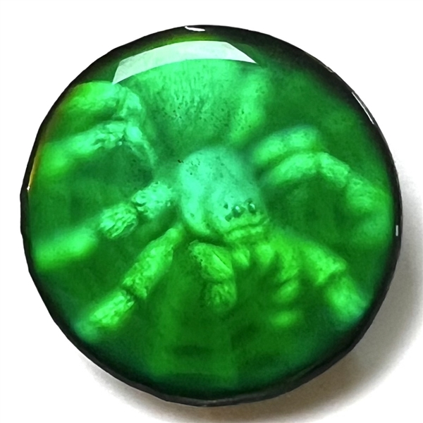 Nancy Dubois hologram button of a spider.