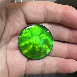 Nancy Dubois hologram button of a spider.