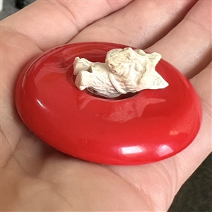 Vintage celluloid button of scotty dog jumping out of center of button.