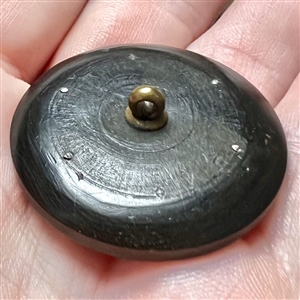 Div I - engine turned bogwood button with faceted steel rosettes.