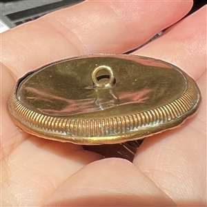 A 19th c. Brass button with an enamel background.