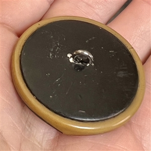Vintage celluloid tight top button with contour and Egyptian decoration. 
