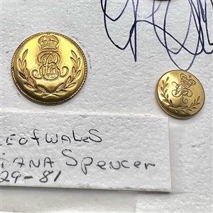 Card of 10 Livery Prince of Wales and Lady Diana Spencer wedding buttons.