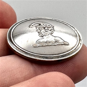 RARE jester Livery crest button. 