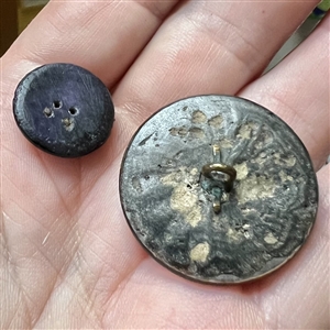 Two Greenman buttons of carved united pearl. 