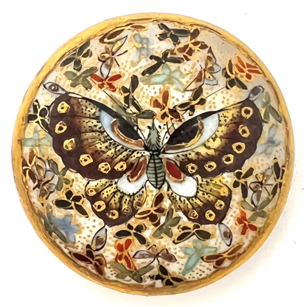 Gorgeous Satsuma button of a butterfly with butterfly background.