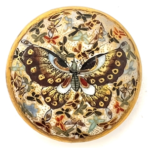 Gorgeous Satsuma button of a butterfly with butterfly background.