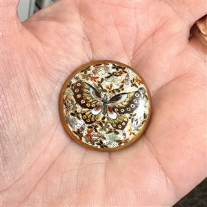 Gorgeous Satsuma button of a butterfly with butterfly background.