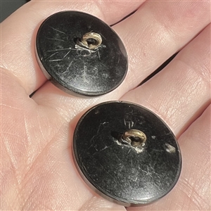 Matched pair of horn buttons with inlay of tulips.