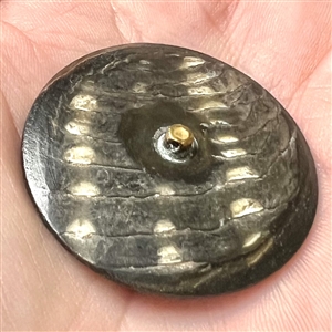 Engraved smoky pearl button of water plants and flying swallow.