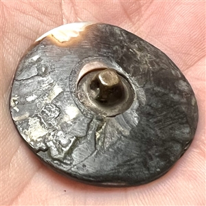 Cameo carved smoky pearl button of a domed building with flags flying.