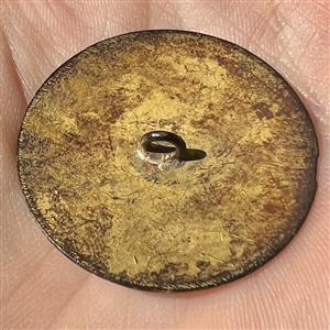 Champlevé enamel button of a Fop.