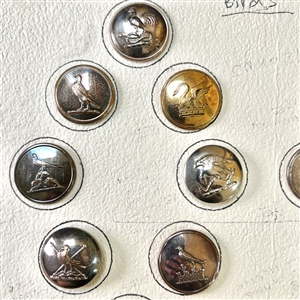 Card of 14 Livery crest bird buttons. 